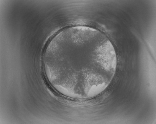 X0000056370012200509232210