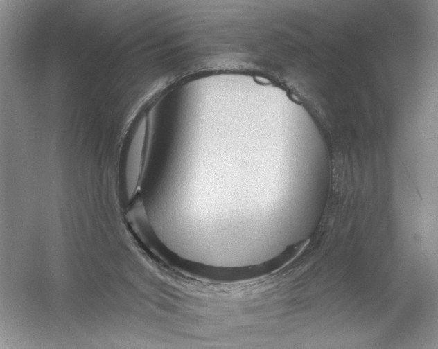 X0000056370015200509232210