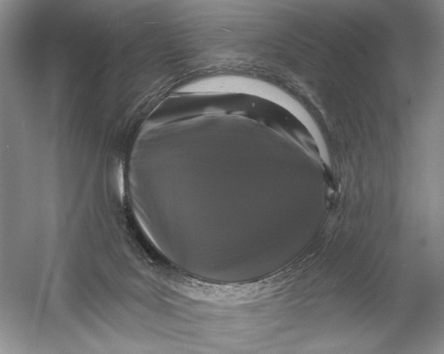 X0000056370027200509232210