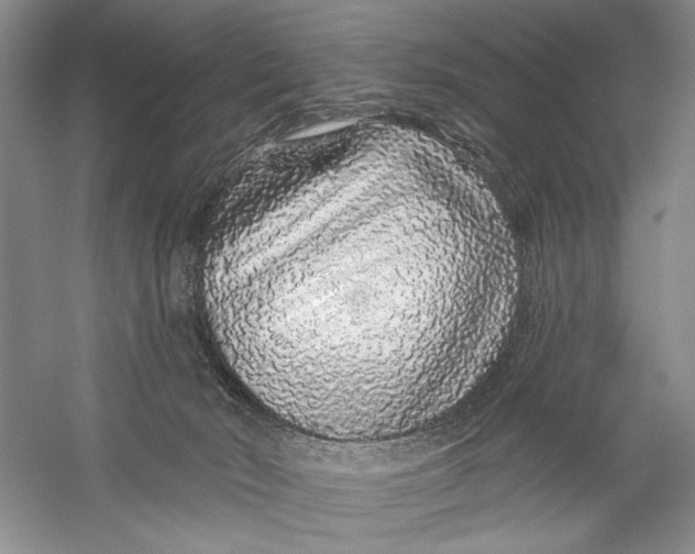 X0000056370030200509232210