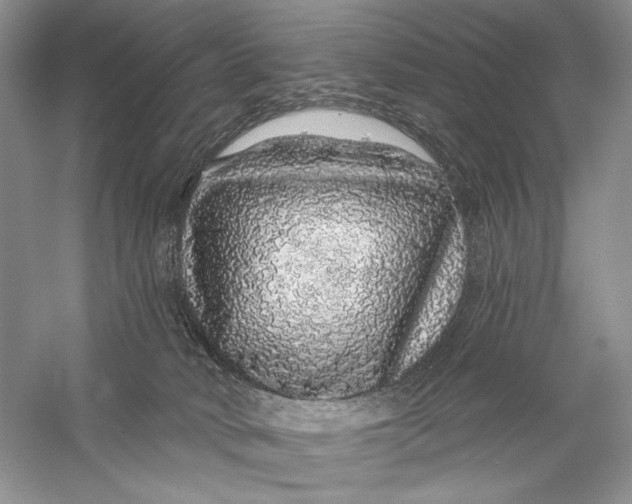X0000056370034200509232210