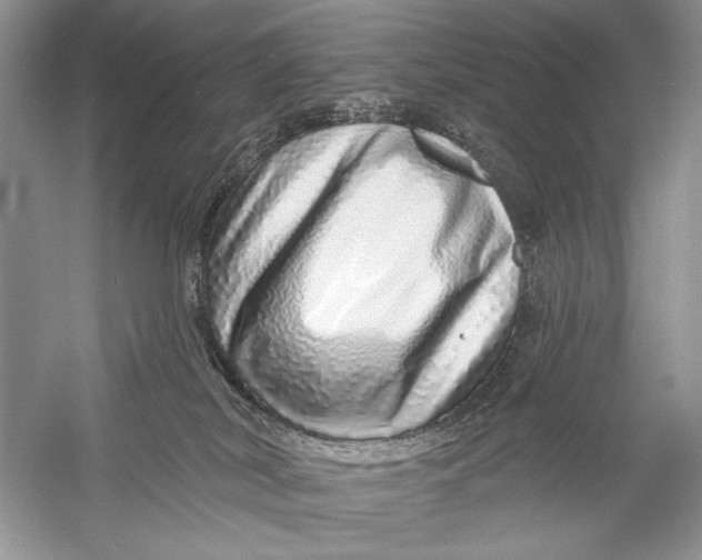 X0000056370038200509232210