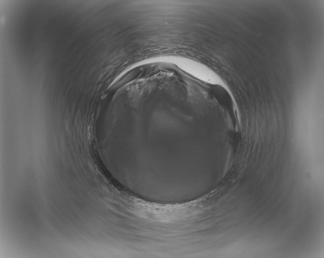 X0000056370039200509232210