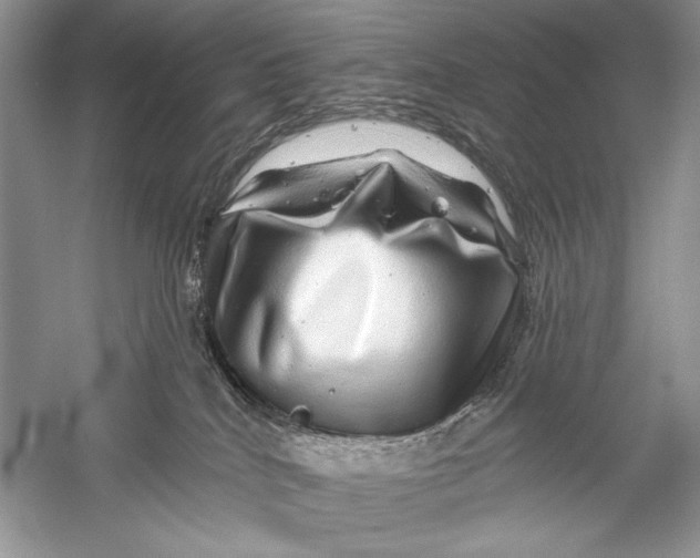 X0000056370040200509232210
