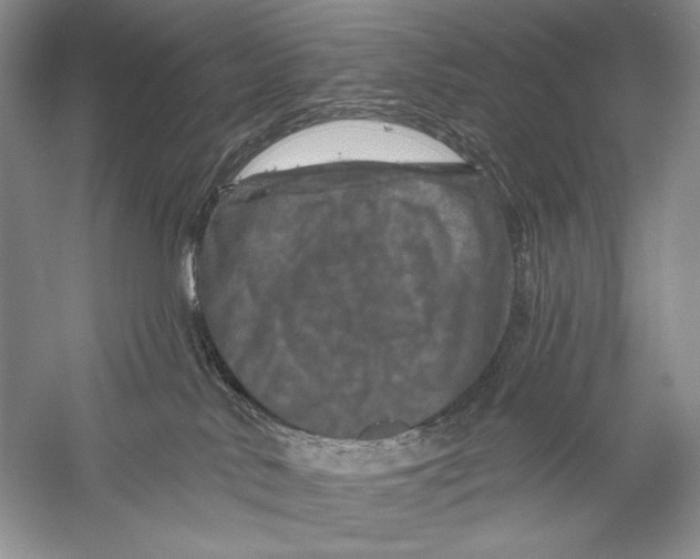 X0000056370042200509232210