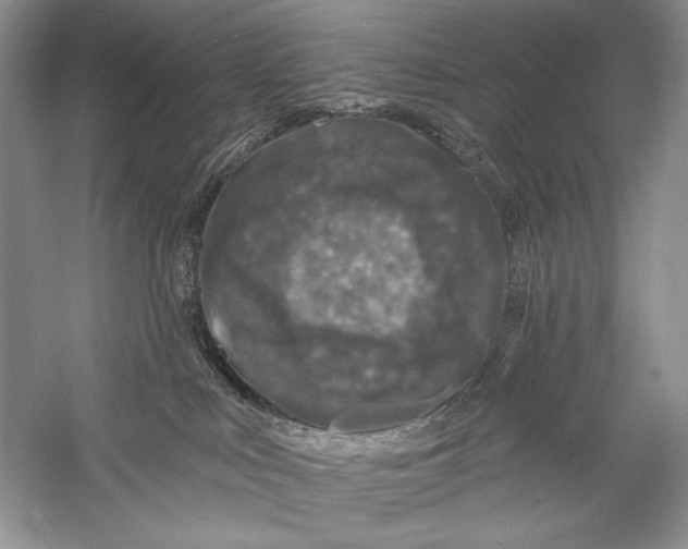 X0000056370043200509232210