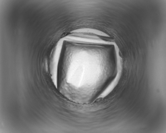 X0000056370046200509232210