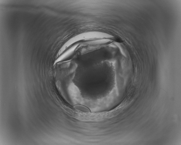 X0000056370048200509232210