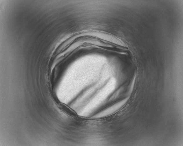X0000056370050200509232209