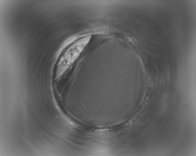 X0000056370054200509232209
