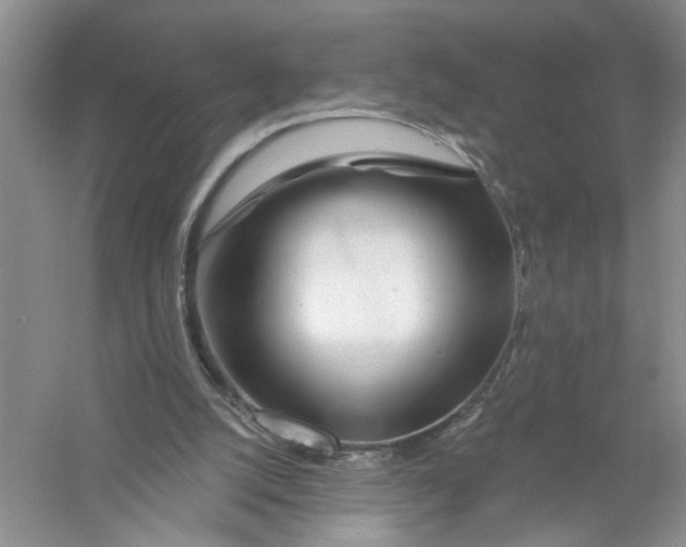 X0000056370056200509232209