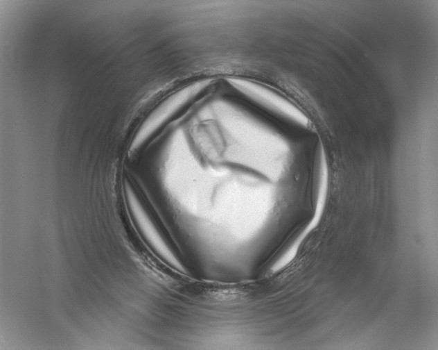 X0000056370058200509232209