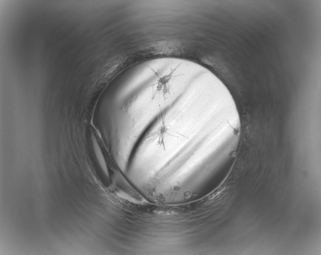 X0000056370066200509232209