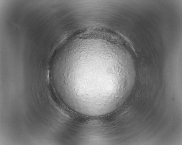 X0000056370067200509232209