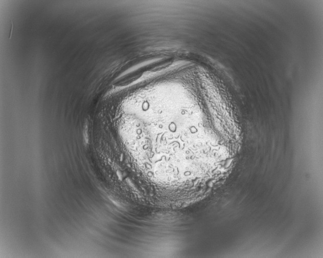 X0000056370069200509232209