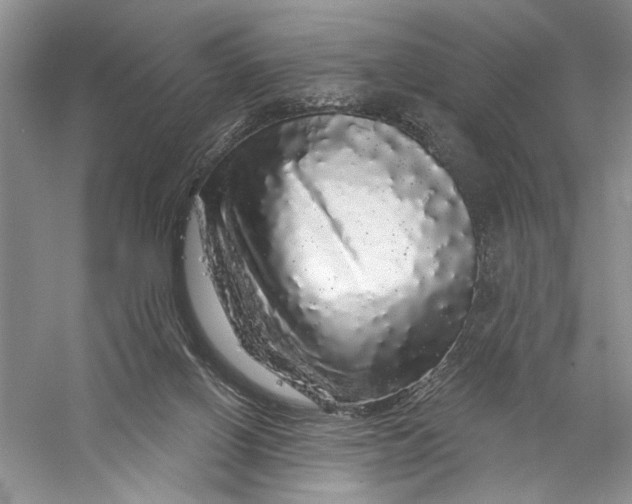X0000056370070200509232209