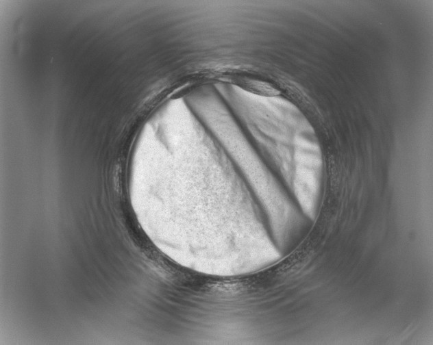 X0000056370071200509232209