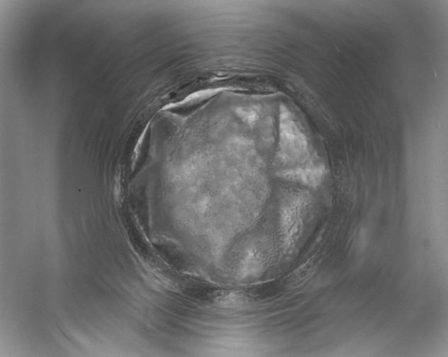 X0000056370074200509232209