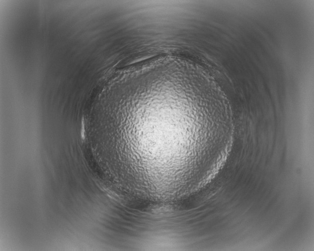 X0000056370075200509232209