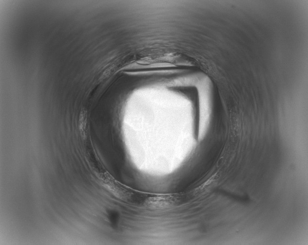 X0000056370082200509232209