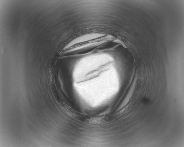 X0000056370086200509232209