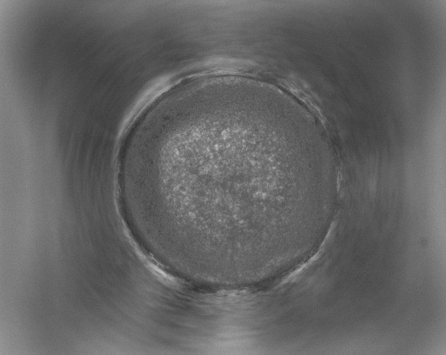 X0000056370101200509232209