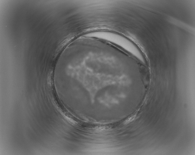 X0000056370105200509232209