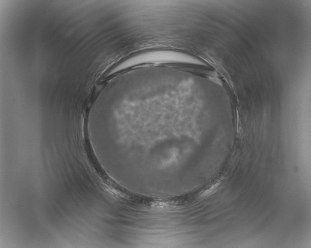 X0000056370109200509232209