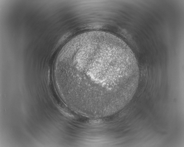 X0000056370110200509232209