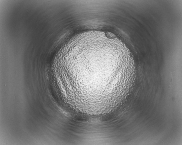 X0000056370114200509232209