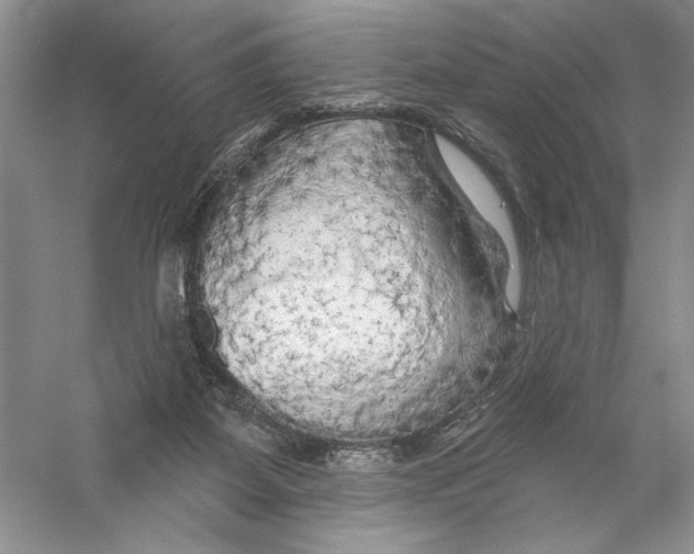X0000056370115200509232209
