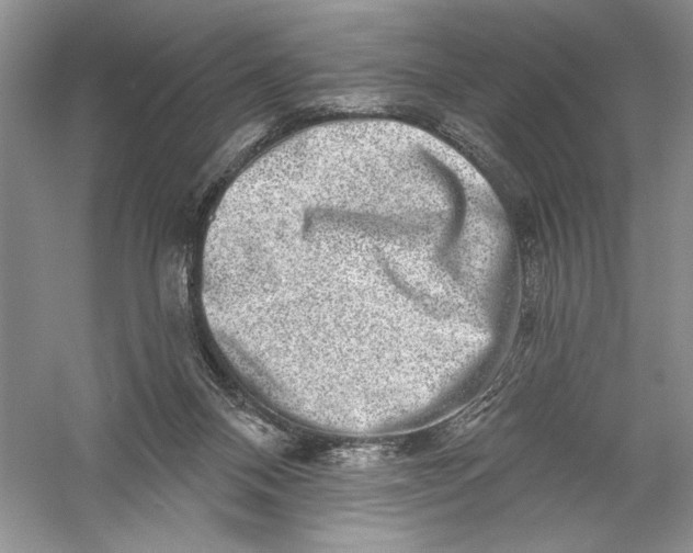 X0000056370120200509232208