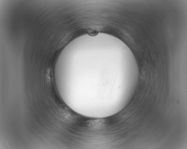 X0000056370122200509232208