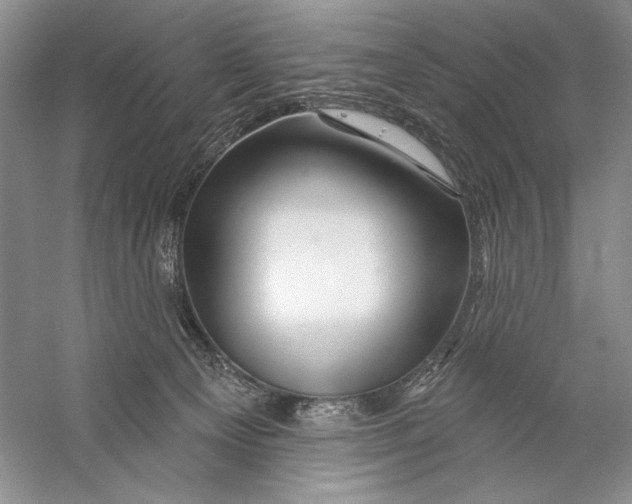 X0000056370129200509232208