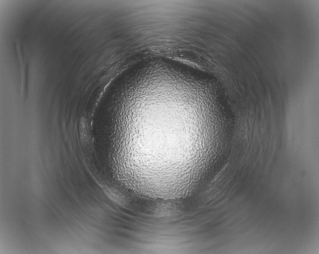 X0000056370130200509232208