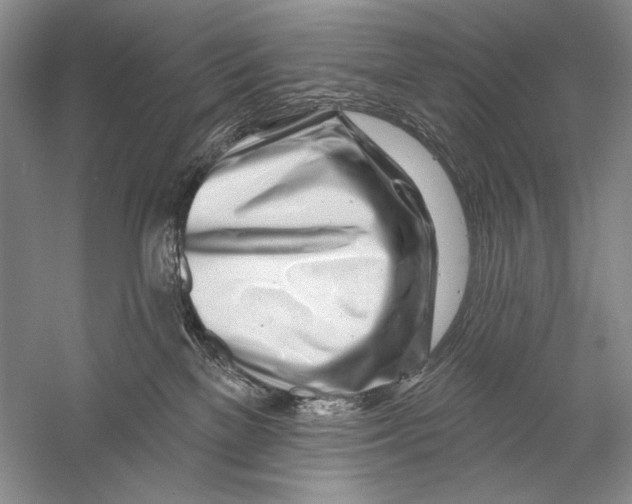 X0000056370137200509232208