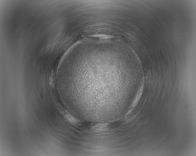 X0000056370138200509232208