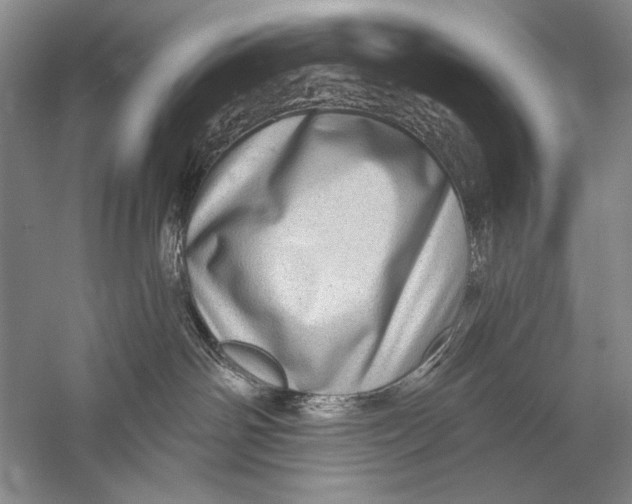 X0000056370142200509232208