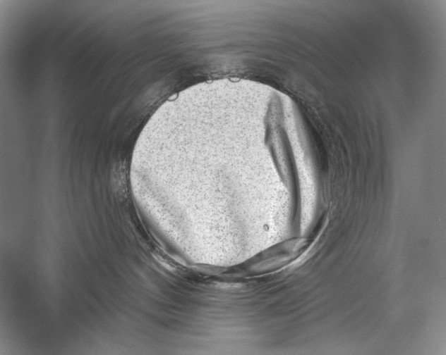 X0000056370144200509232208