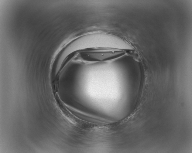 X0000056370150200509232207