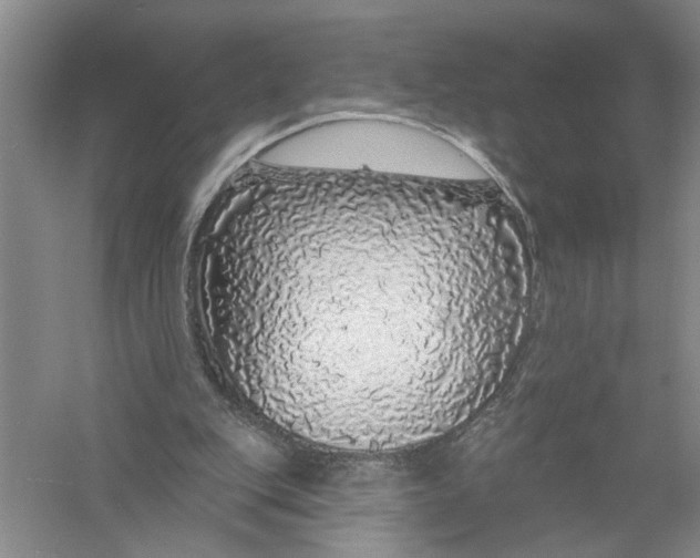 X0000056370151200509232207