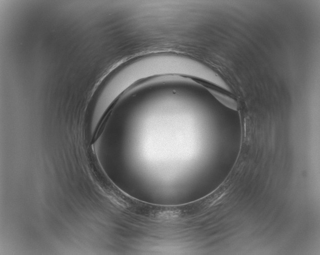 X0000056370156200509232207