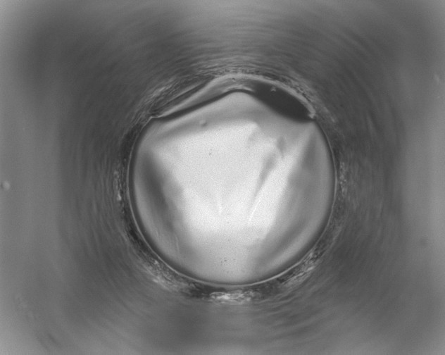 X0000056370161200509232207