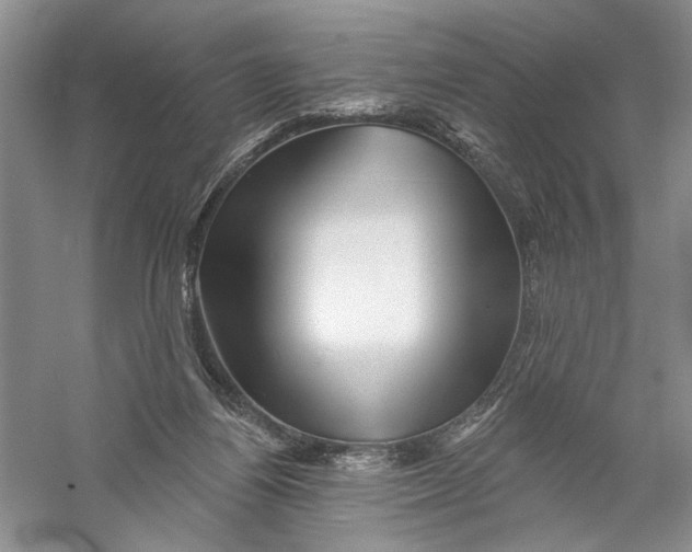 X0000056370164200509232208