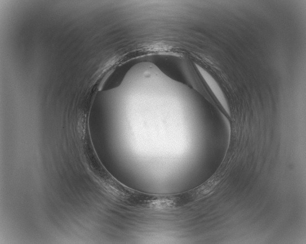X0000056370168200509232208