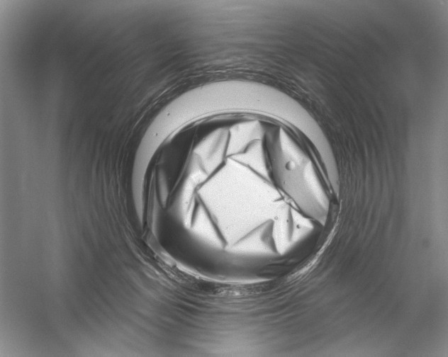 X0000056370174200509232208