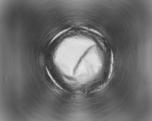 X0000056370191200509232208