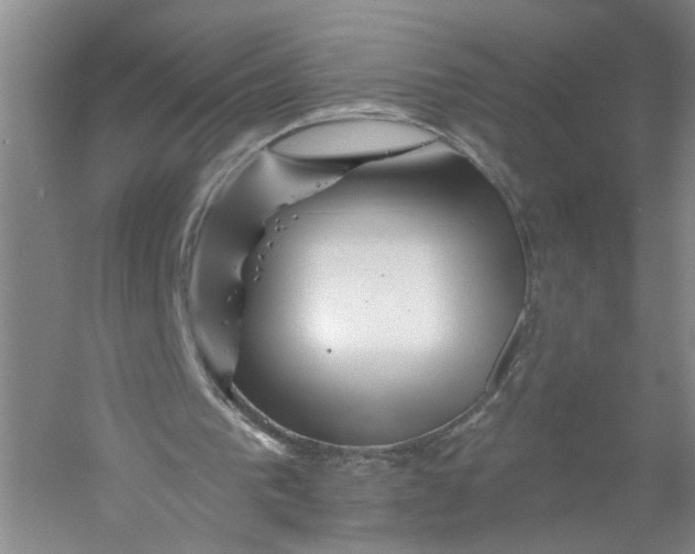 X0000056370193200509232207