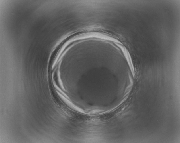 X0000056370196200509232207