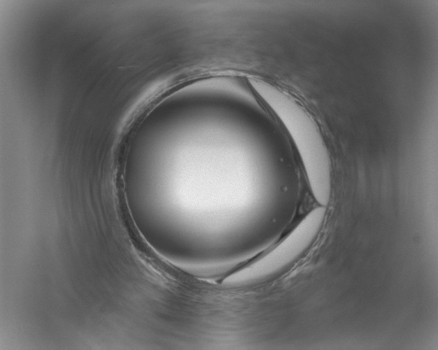 X0000056370197200509232207